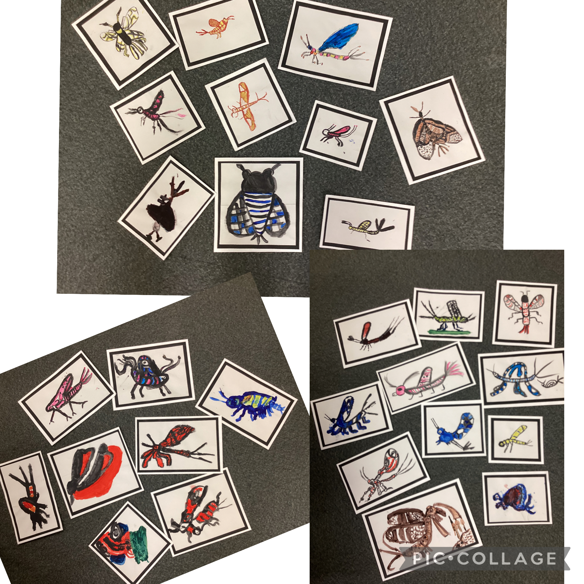 Mayfly whole school art